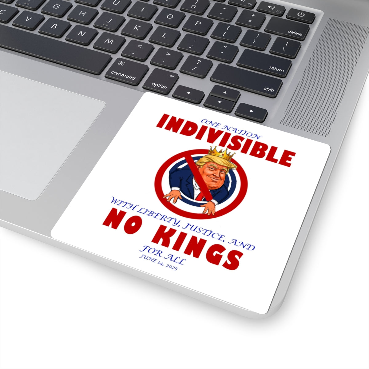 Political Kiss-Cut Stickers - Resilient Spirit, Laptop Decor, Protest Gear, Fun Gift, Unique Art