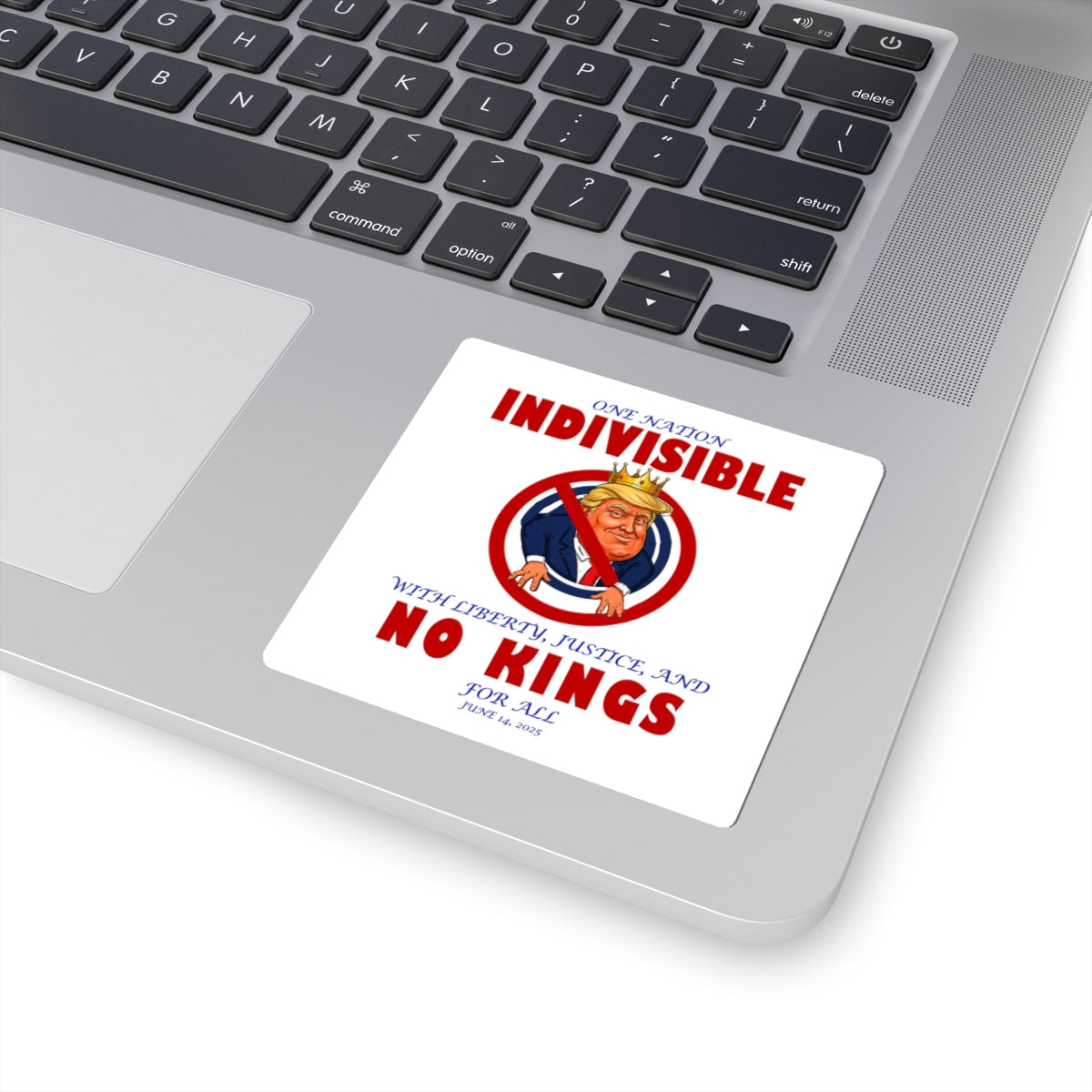 Political Kiss-Cut Stickers - Resilient Spirit, Laptop Decor, Protest Gear, Fun Gift, Unique Art