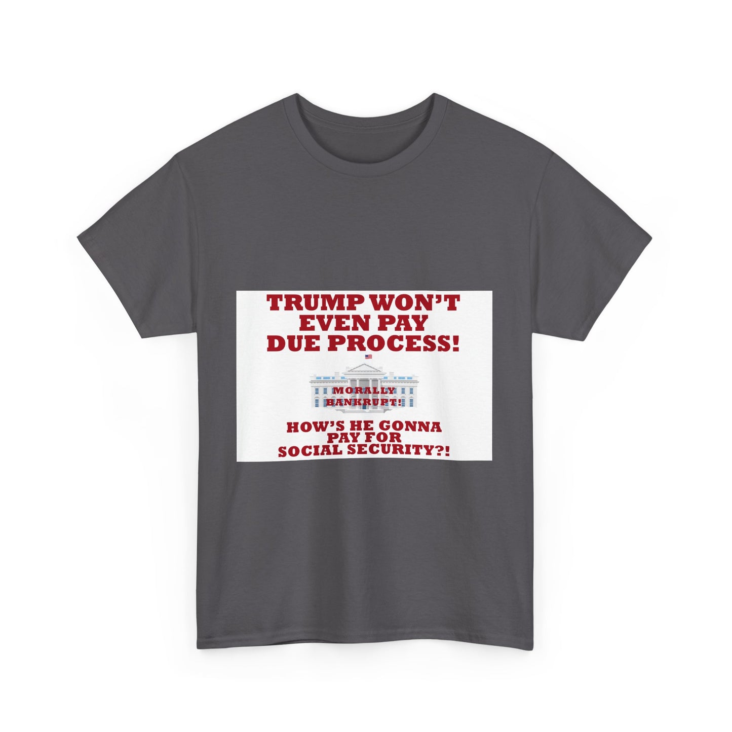 Political Statement Tee - Retro Humor Shirt, Gift for Activists, Unique Party Wear, Social Commentary Apparel, Funny Statement T-Shirt